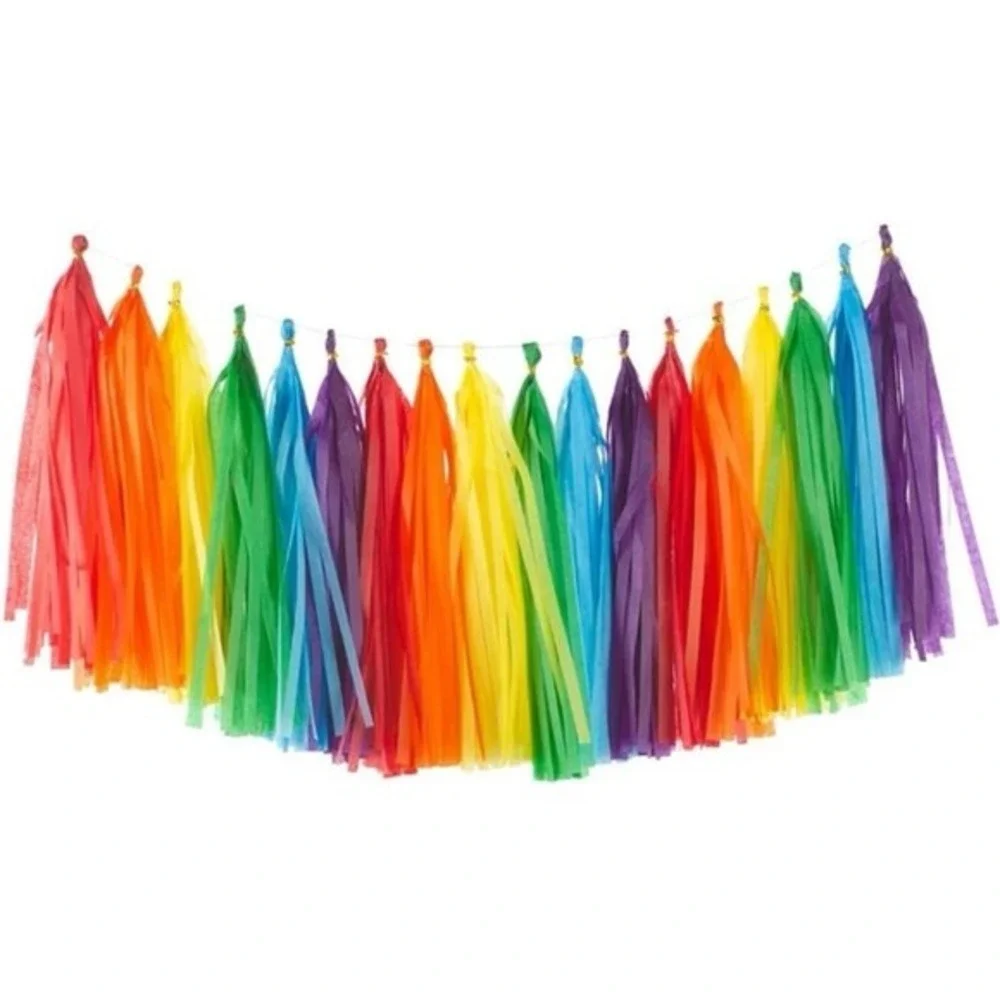Rainbow Tissue Paper Tassels Colorful Party Tassel Garland Banner Decorations, D